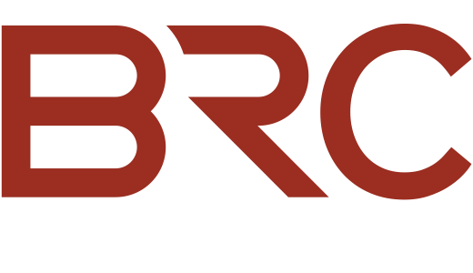 board risk committee logo reversed